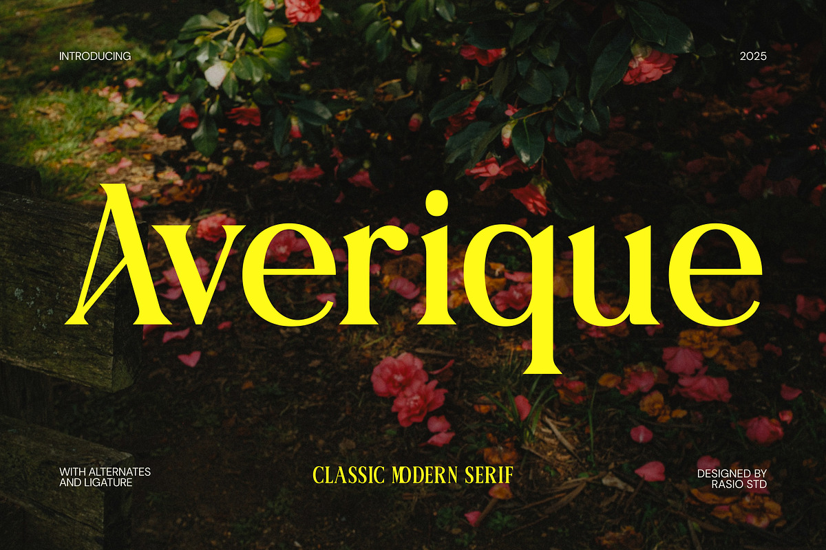 Averique Classic Modern Serif Font, a Serif Font by Rasio Studio (Photo 1 of 6)
