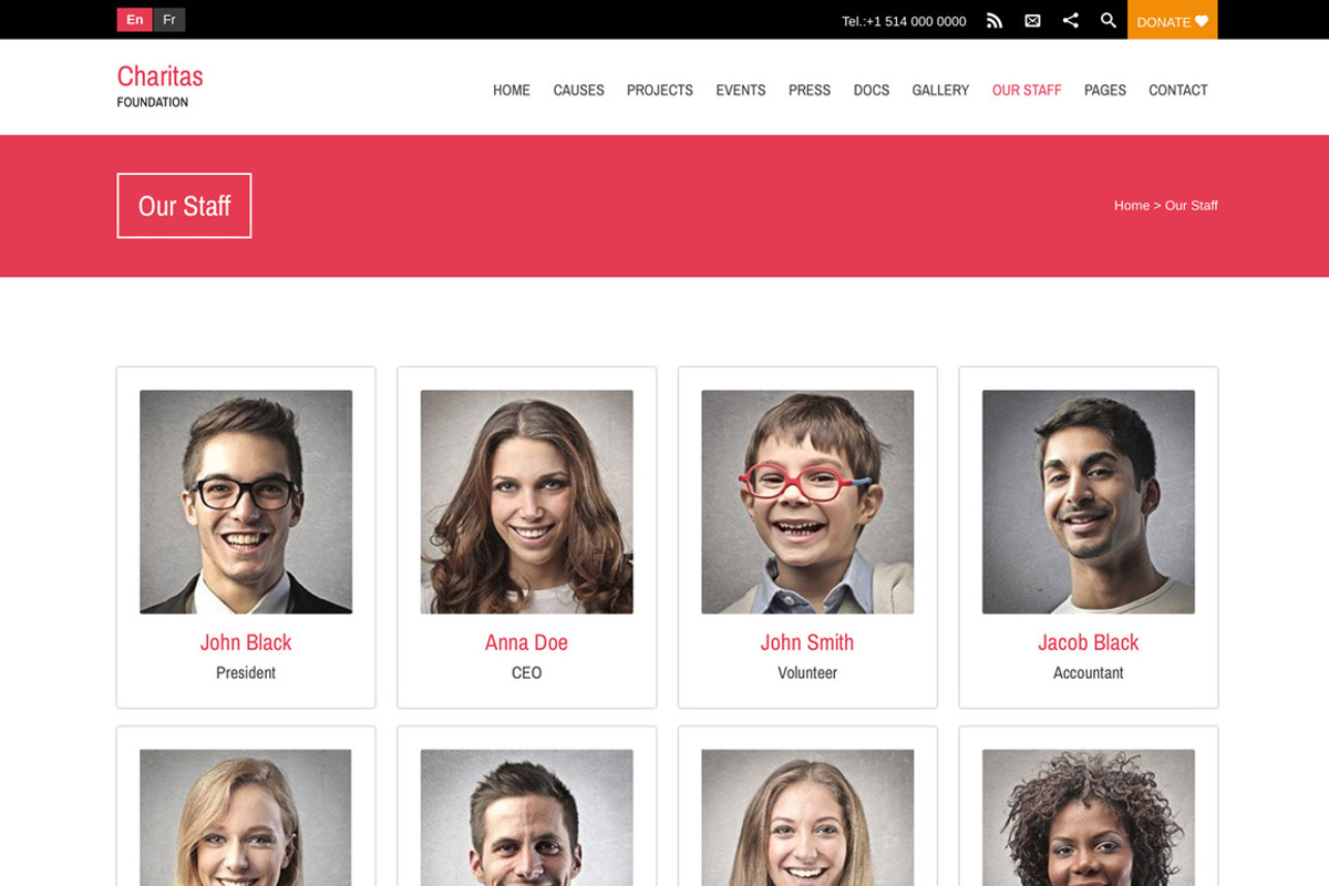 Charitas/Foundation WordPress Theme, a WordPress Template by WPlook WordPress Themes (Photo 4 of 5)