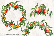 Vintage Peach Graphic Collection #03, an Object Graphic by Olga Begak Art & Design (Thumbnail 4 of 8)