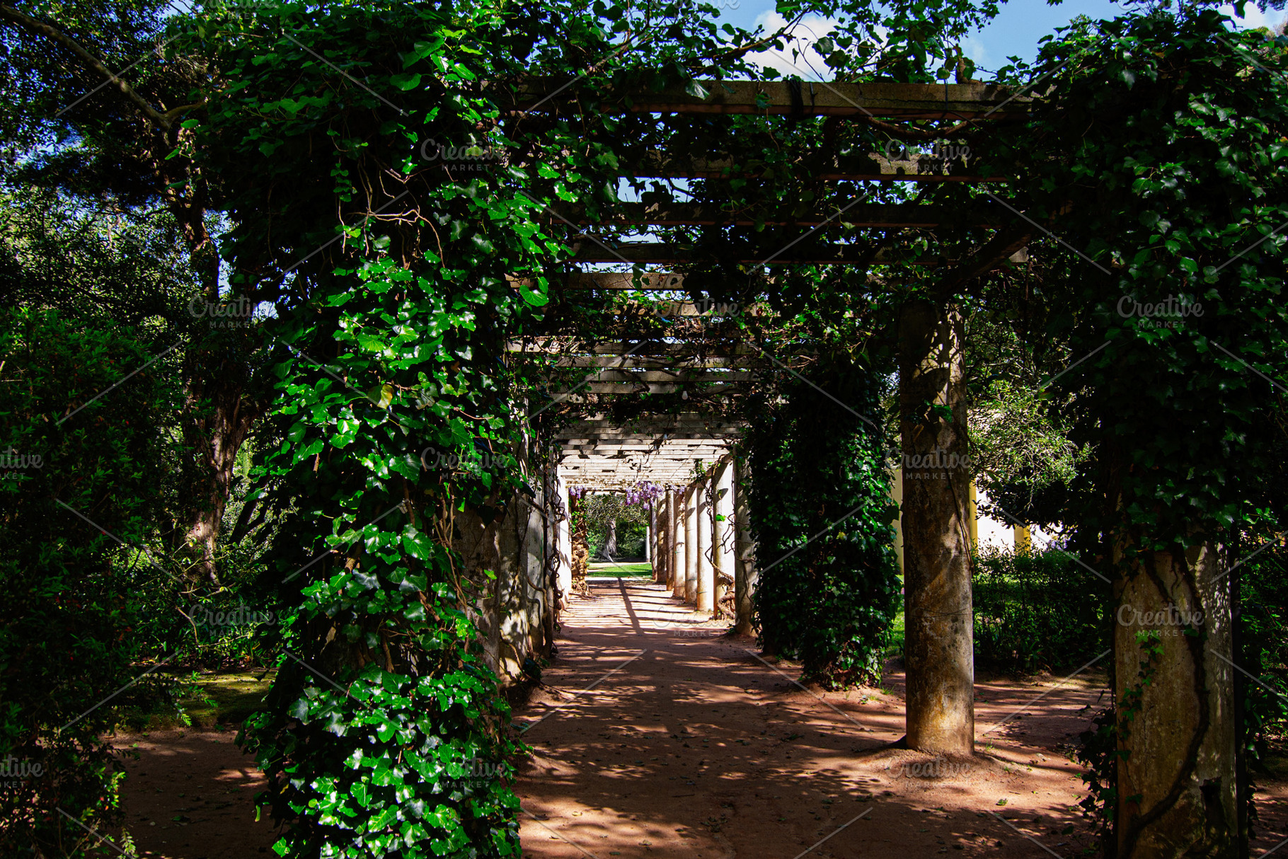 Verdant pergola walkway in Caldas da Rainha, Portugal with lush green foliage, a Photo by AS photostudio