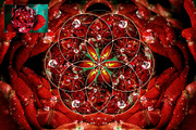 Sacred Geometry Generator, a Plug-in Add-On by Pro Add-Ons (Thumbnail 14 of 22)
