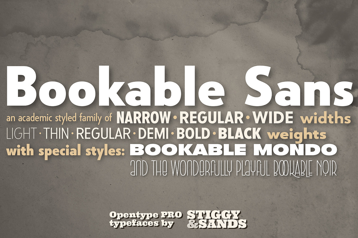 Bookable Sans Collection, a Sans Serif Font by Stiggy & Sands (Photo 1 of 12)