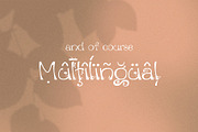 Xaver Nature Font, a Sans Serif Font by Xaver DesignStudio (Thumbnail 12 of 12)