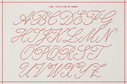 Fine Stitch Embroidered Script Font, a Script Font by AnMark (Thumbnail 3 of 13)