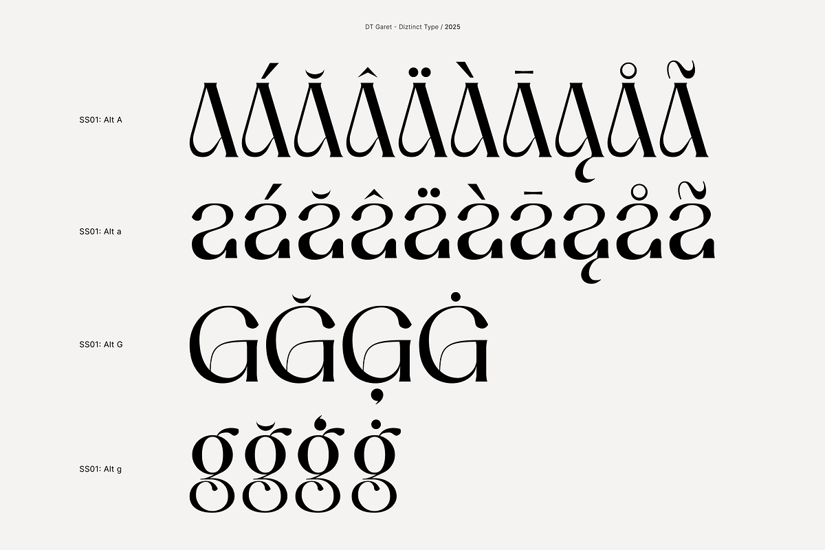 DT Garet – Luxury Serif Typeface, a Font by Diztinct Type (Photo 5 of 12)