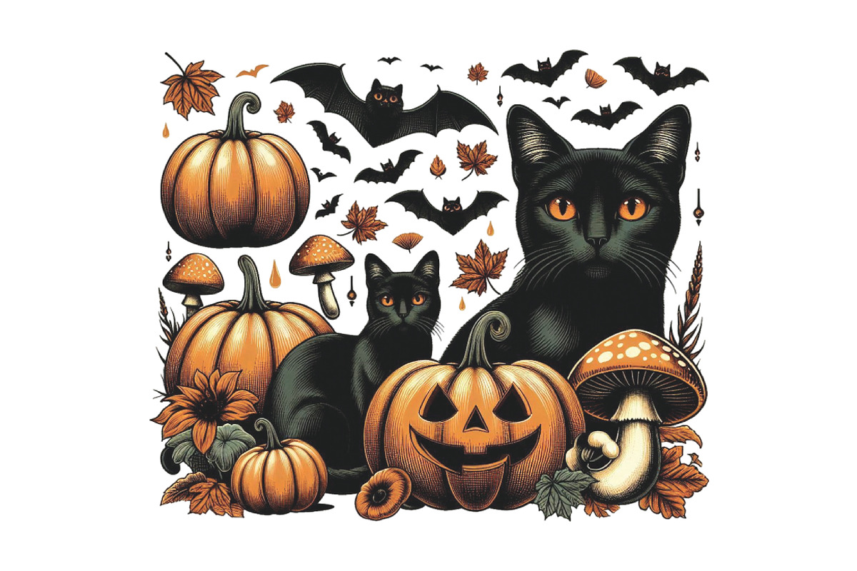 Black Cat Pumpkin PNG, an Illustration by CraftArtStudio (Photo 1 of 4)