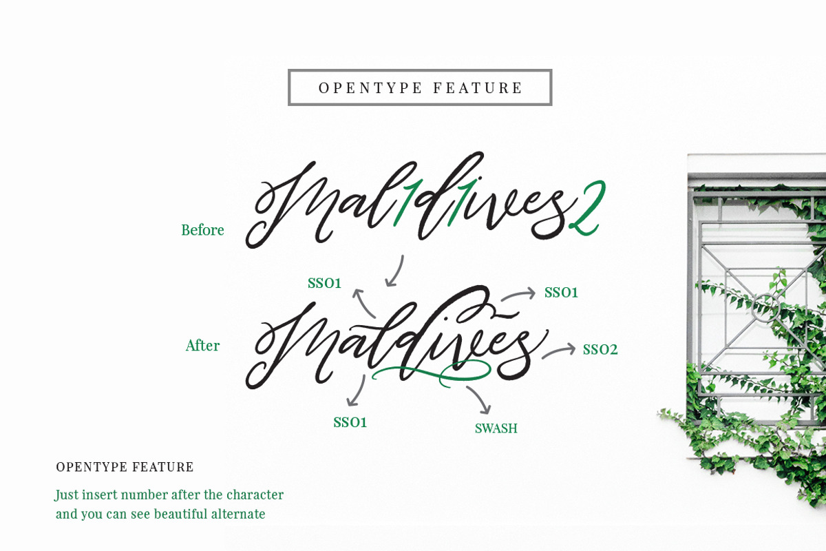 Maldives Script preview 2