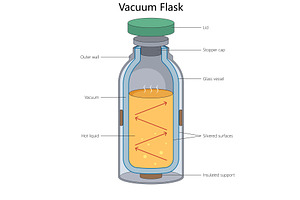 structure of a vacuum flask, an Object Illustration by AlexArt
