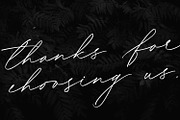 Bonadia - Modern Script Font, a Script Font by Cititype (Thumbnail 14 of 14)