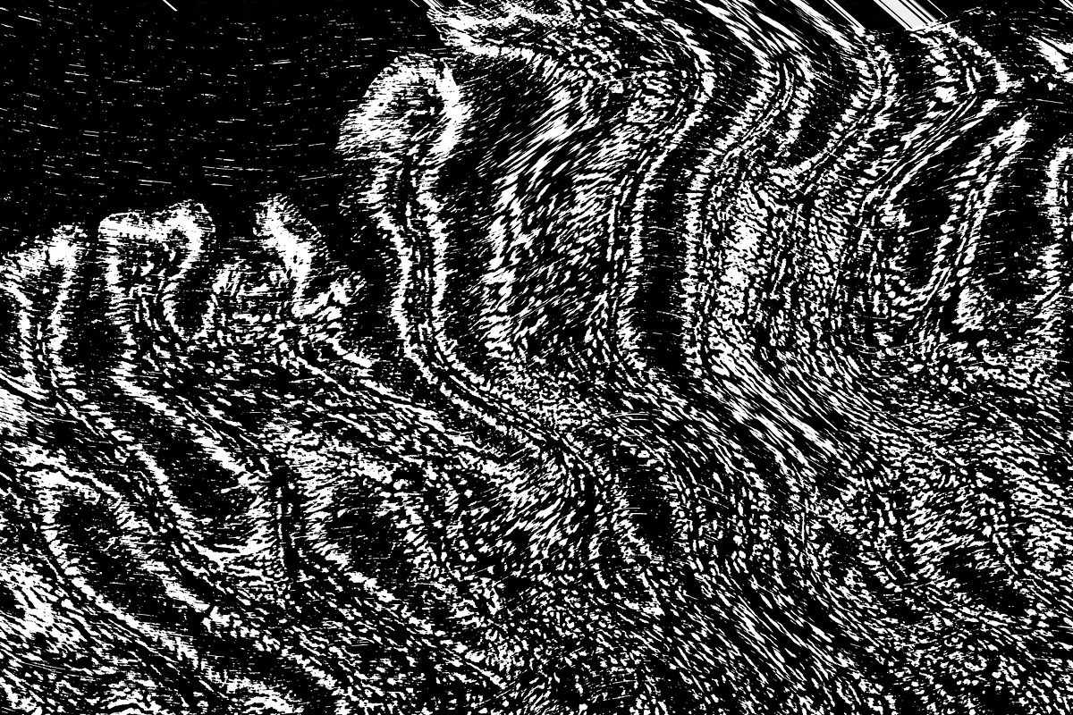 Lilliputian, a Texture Graphic by Jennifer Lauren Creative (Photo 27 of 28)