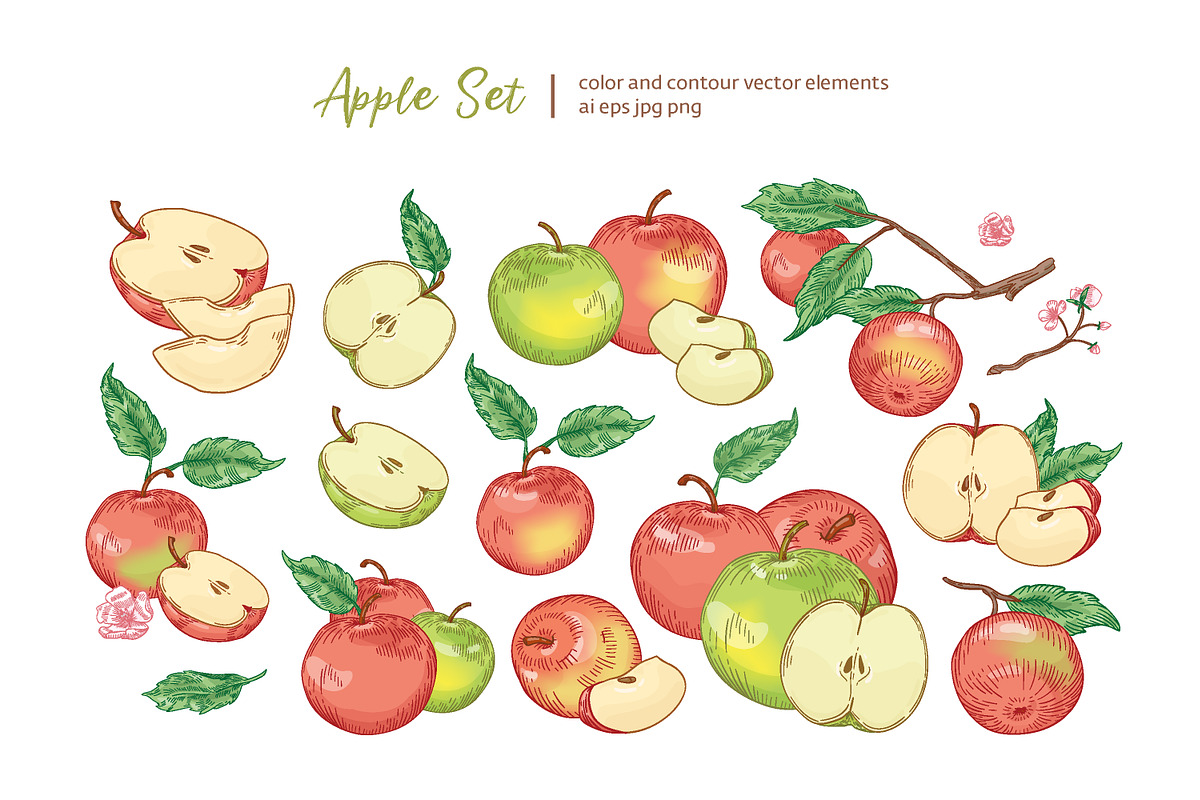 Vintage apples, hand drawn set, a Food Illustration by Good Studio (Photo 1 of 5)