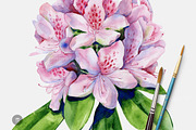 Rainforest illustrations, an Illustration by Anna Myslivets Art (Thumbnail 5 of 7)