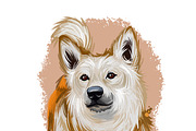 Puppies Dog Breeds Big Bundle 135Pcs, an Animal Illustration by Dneprstock (Thumbnail 52 of 68)