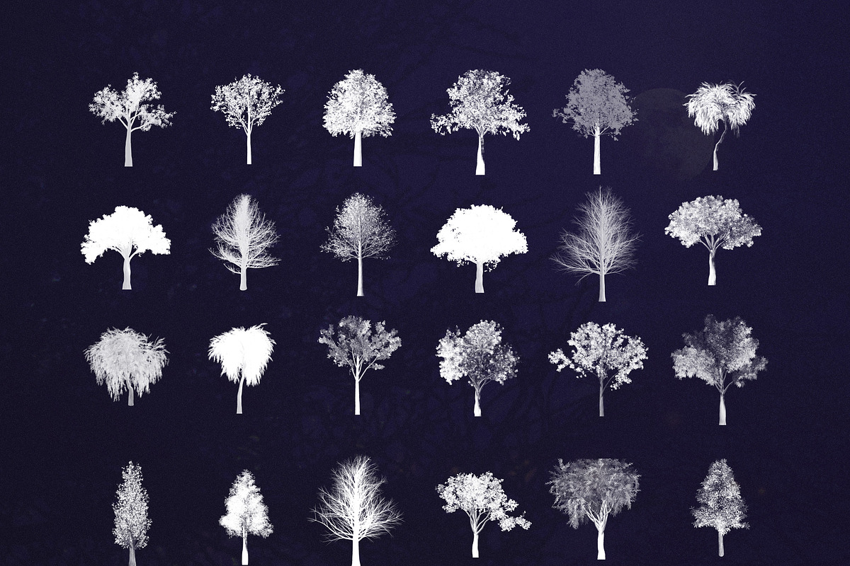 89 Procreate tree stamps brushes, a Brush Add-On by Endete & Mazak brushes (Photo 2 of 5)