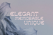 Aurora - Brutalist Display Typeface, a Serif Font by HipFonts (Thumbnail 2 of 8)