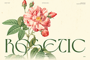 Rosetic - Luxury Wedding Font, a Serif Font by kangfont Studio (Thumbnail 1 of 10)