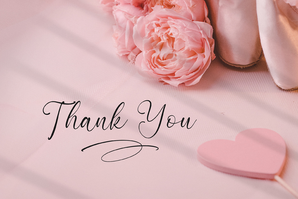 Nattalia Sillena, a Script Font by Integritype Studio (Photo 15 of 15)