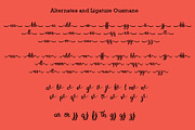 Ousmane Dembele, a Script Font by Zaenal Studio (Thumbnail 6 of 13)