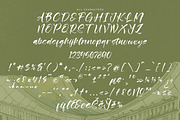 Rustling Kingdom Modern Script Font, a Script Font by Letterena Studios Script (Thumbnail 13 of 15)