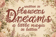 Aerisfly - Butterflies & Floral, a Script Font by HypeWorksCo (Thumbnail 13 of 17)