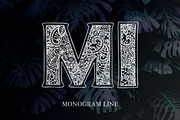 Monogram · 5 fonts · 20 frames, a Font by Red Ink (Thumbnail 4 of 14)