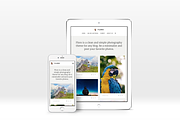 Floro Tumblr Photo Theme, a Websites & App Template by Dabu Themes (Thumbnail 2 of 9)