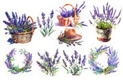 Lavender watercolor clipart, an Object Illustration by AkvarelRiver (Thumbnail 2 of 8)
