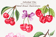 Cherry Watercolor Clipart, an Illustration by BarvArt (Thumbnail 4 of 5)