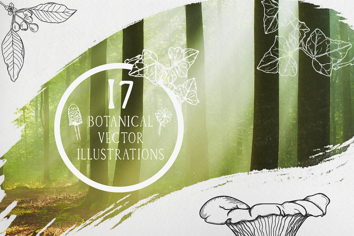 17 Botanical Vector Illustrations, an Illustration by Salty Sweet Creative (Photo 1 of 3)