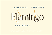 Arckes – The Grace of Tradition, a Serif Font by Muwatta Studio (Thumbnail 2 of 10)