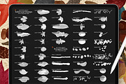 Autumn Magic for Procreate, a Brush Add-On by AJ Brushes (Thumbnail 7 of 10)
