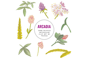 Spring Wildflower Clip Art, an Illustration by Pepper (Thumbnail 2 of 2)