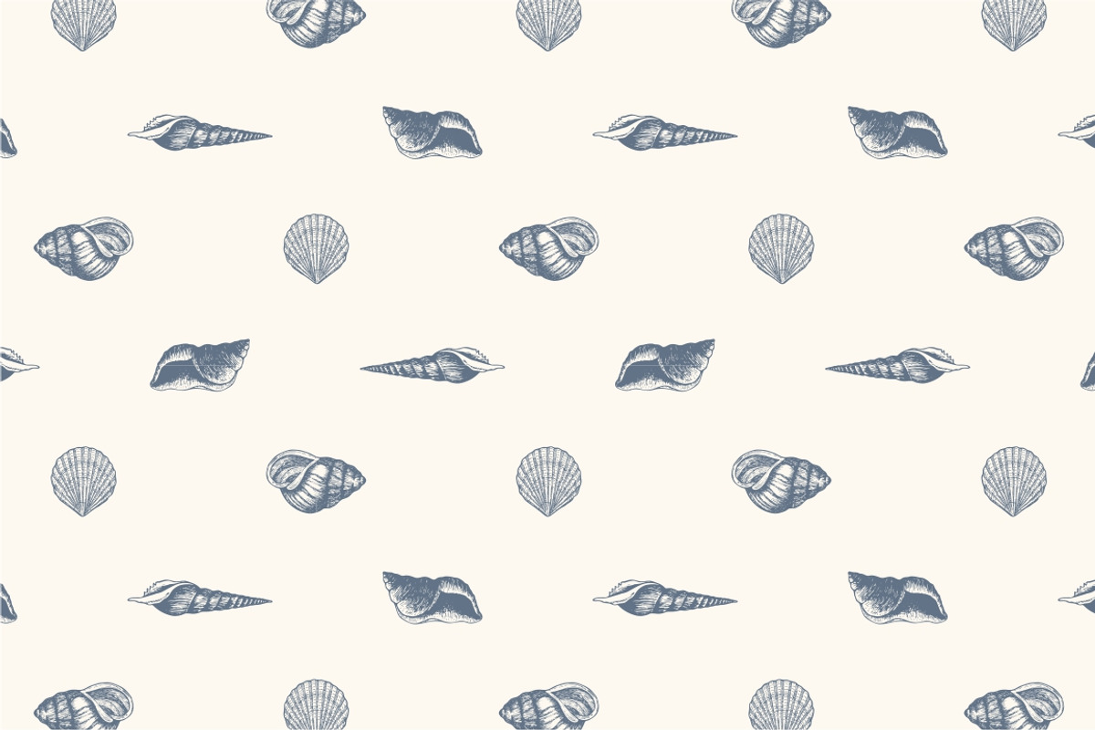 10 Hand Drawn Seashell + 5 Patterns, an Object Illustration by Storyteller Imagery (Photo 7 of 7)