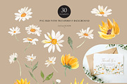 Watercolor flower - Daisy Set, an Illustration by Beigetime (Thumbnail 4 of 10)