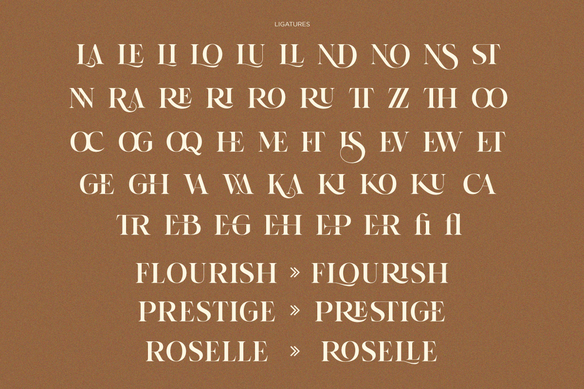 RK Minnerva - Modern Elegant Serif, a Serif Font by RagamKata (Photo 6 of 9)