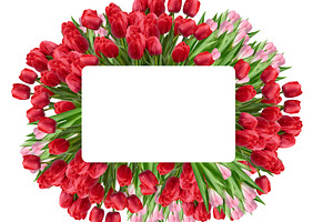 Rectangular frame of red and pink tulips with green leaves and w, a Holiday Photo by ndanko