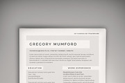 Echo CV/Resume (DOC + PSD), a Resume Template by Valeur Design (Thumbnail 1 of 2)