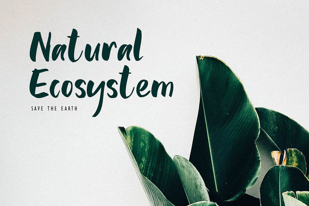 Be Bold Not Regular Font preview 5
