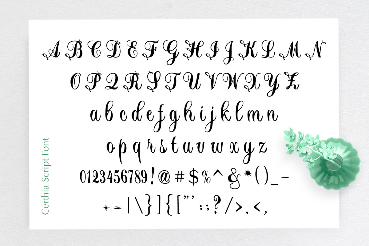 Certhian Script, a Script Font by Solidtype (Photo 9 of 9)