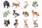 Watercolor Australian Animals Clipar, an Illustration by Design Market (Thumbnail 3 of 5)