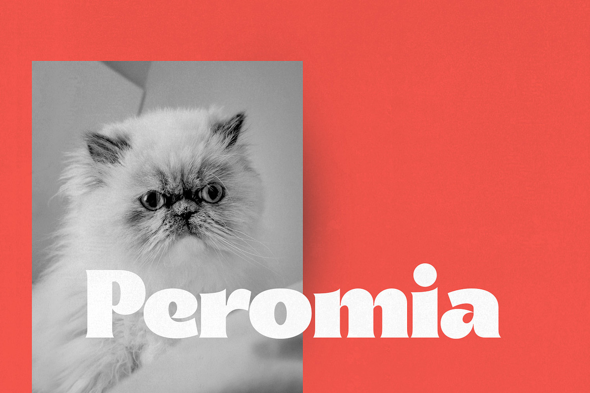 Benoa Font, a Sans Serif Font by creativemedialab (Photo 14 of 15)