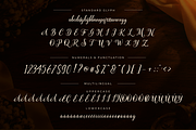 Lovenaliana, a Script Font by Ginart (Thumbnail 9 of 10)
