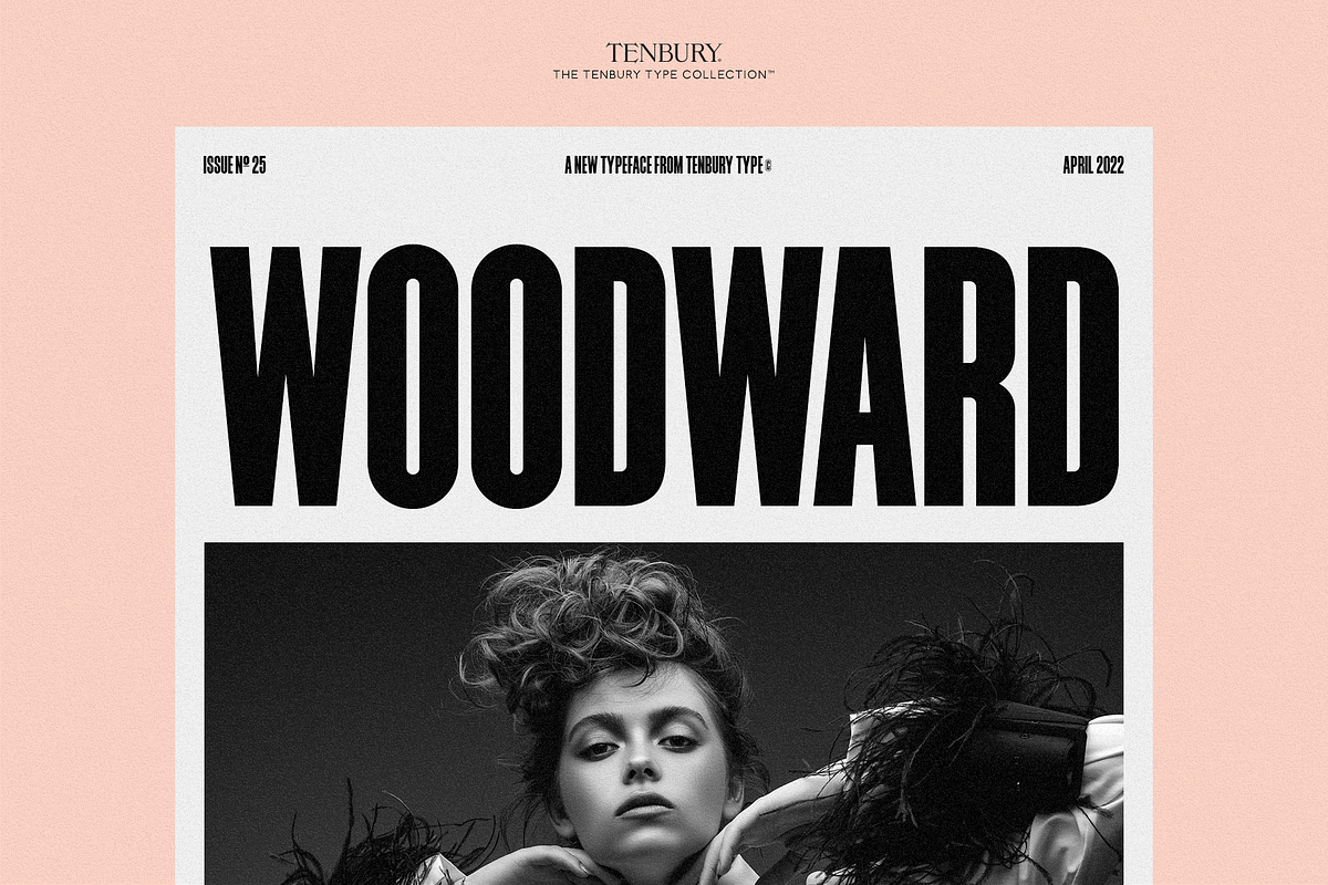 10B Woodward: Editorial Sans, a Font by Tenbury Type (Photo 1 of 12)