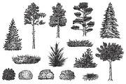 Hand drawn plants, an Object Illustration by CGterminal (Thumbnail 4 of 7)