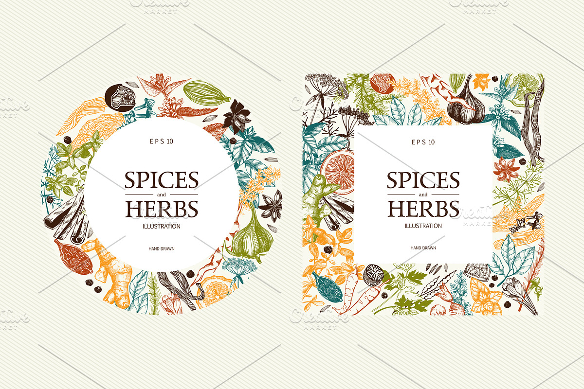 Ink Hand Drawn Spice Collection preview 7