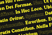 Blogeris Display, a Handwritten Font by Youngtype.Std (Thumbnail 9 of 10)