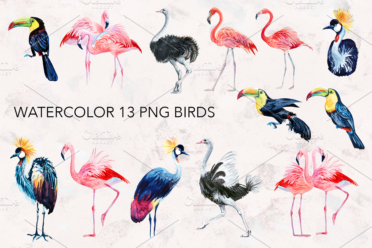 Parrots. Watercolor exotic BIRDS, an Illustration by lilisavelieva (Photo 3 of 5)