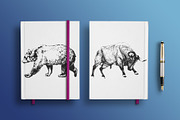 12 hand drawn wild animals, an Animal Illustration by AnastasiyaOleynik (Thumbnail 3 of 10)