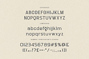 Donald Blakey Retro Serif, a Serif Font by Cruzine (Thumbnail 6 of 10)