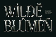 CS Alma Stippled, a Serif Font by Craft Supply Co. (Thumbnail 7 of 8)